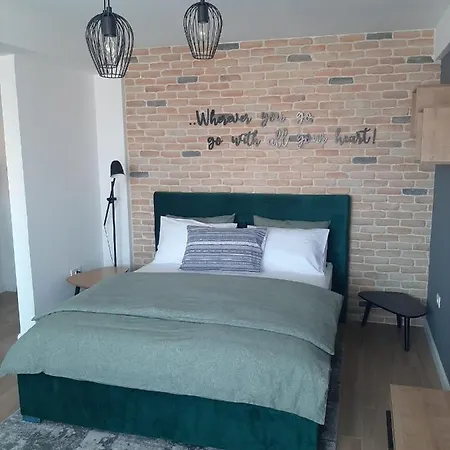 Center View 1 Lejlighed Timişoara