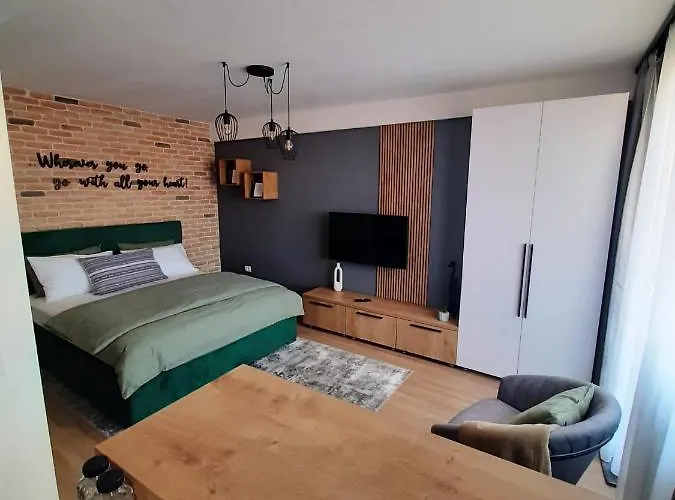 Center View 1 * Timişoara